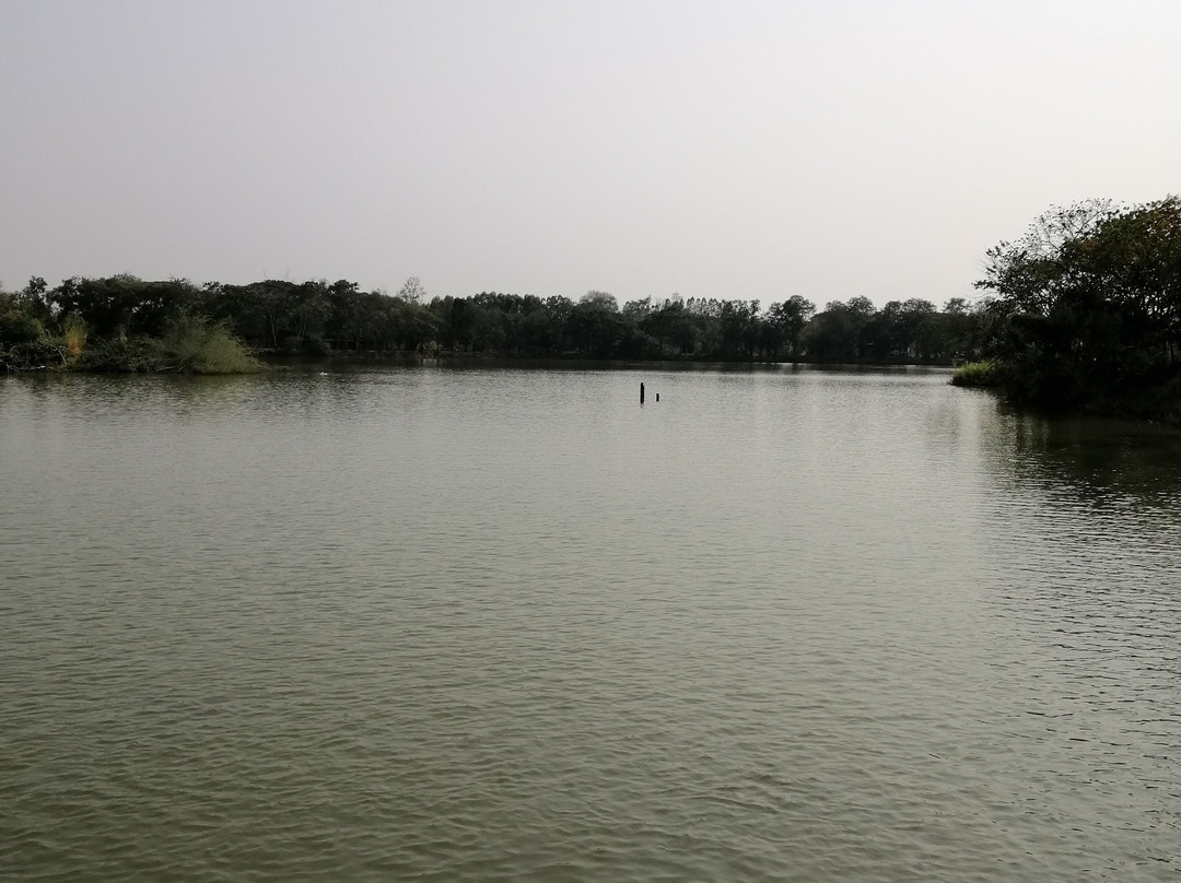 Nong Bua Lam Phu Fishing Park景点图片