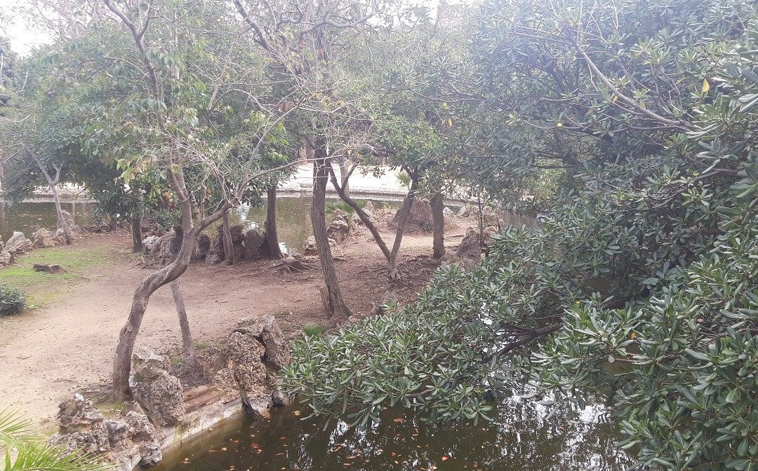 Parc del Llac