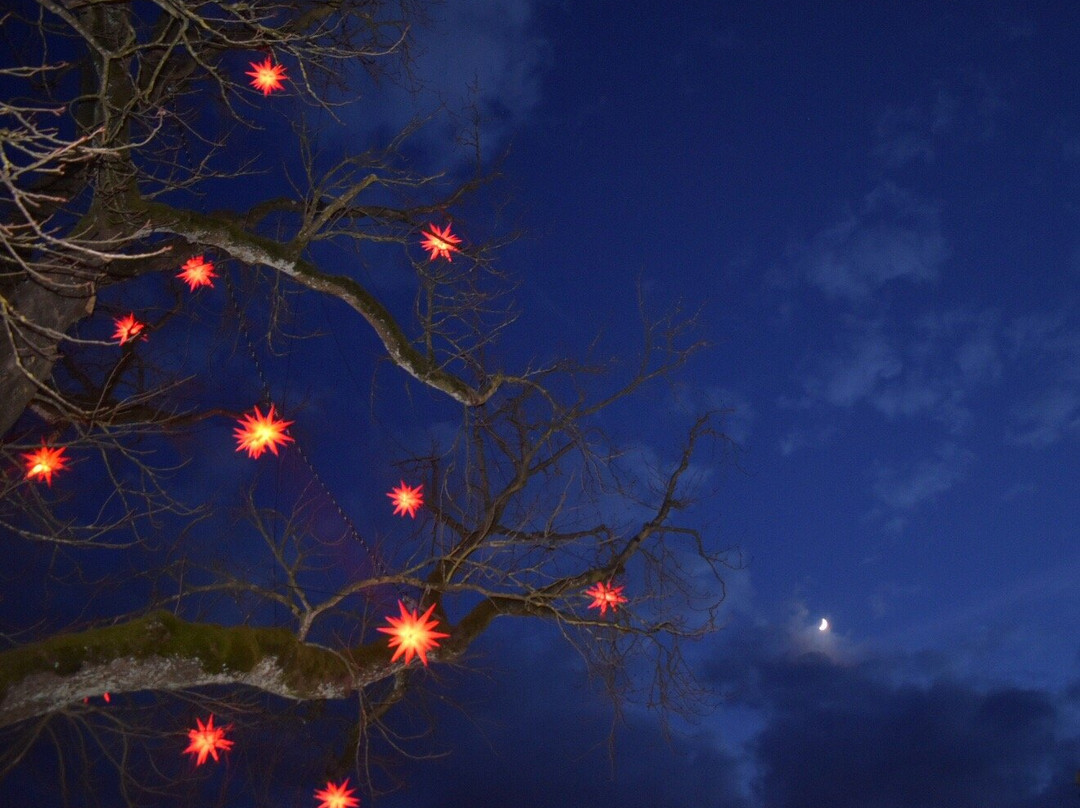 Hotel Sallerhof主图