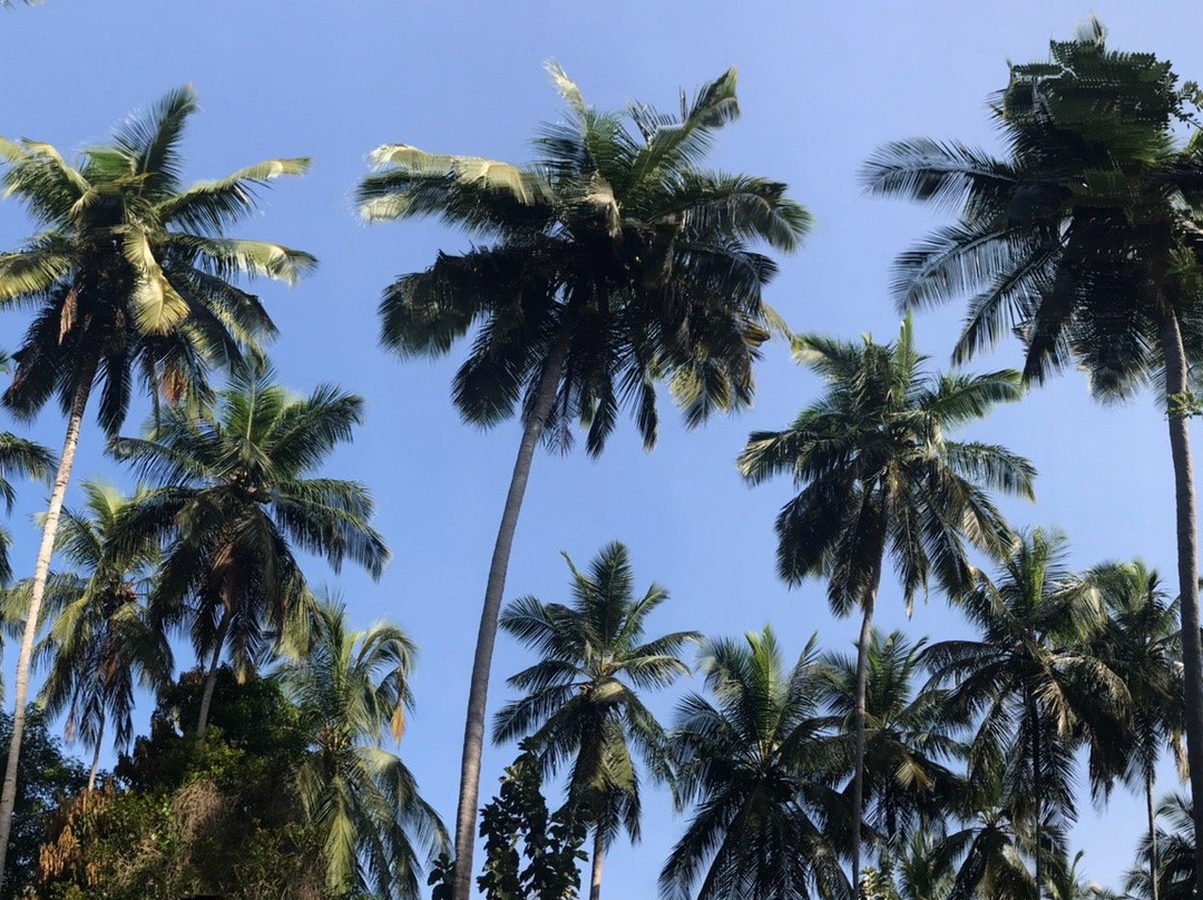 Bungalow Berrycove主图