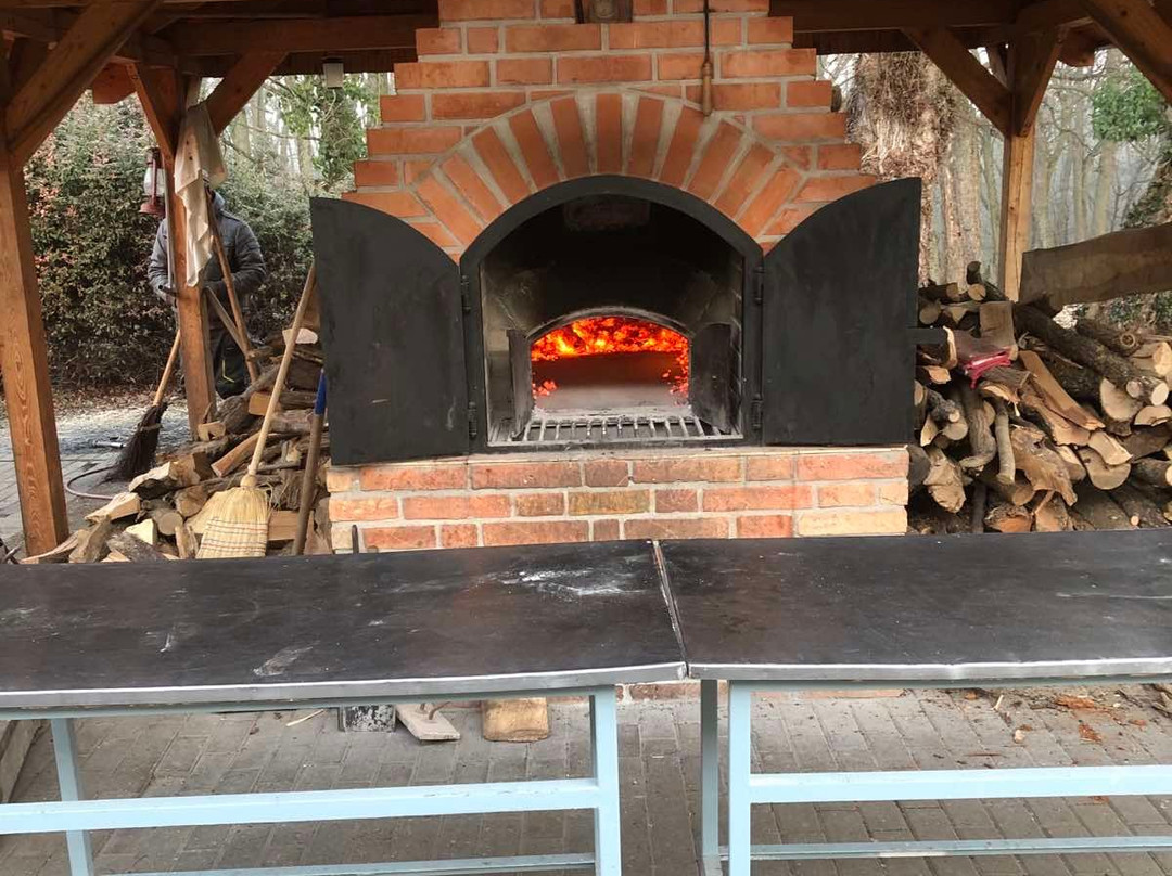 Fenyoharaszt Kastelyszallo主图