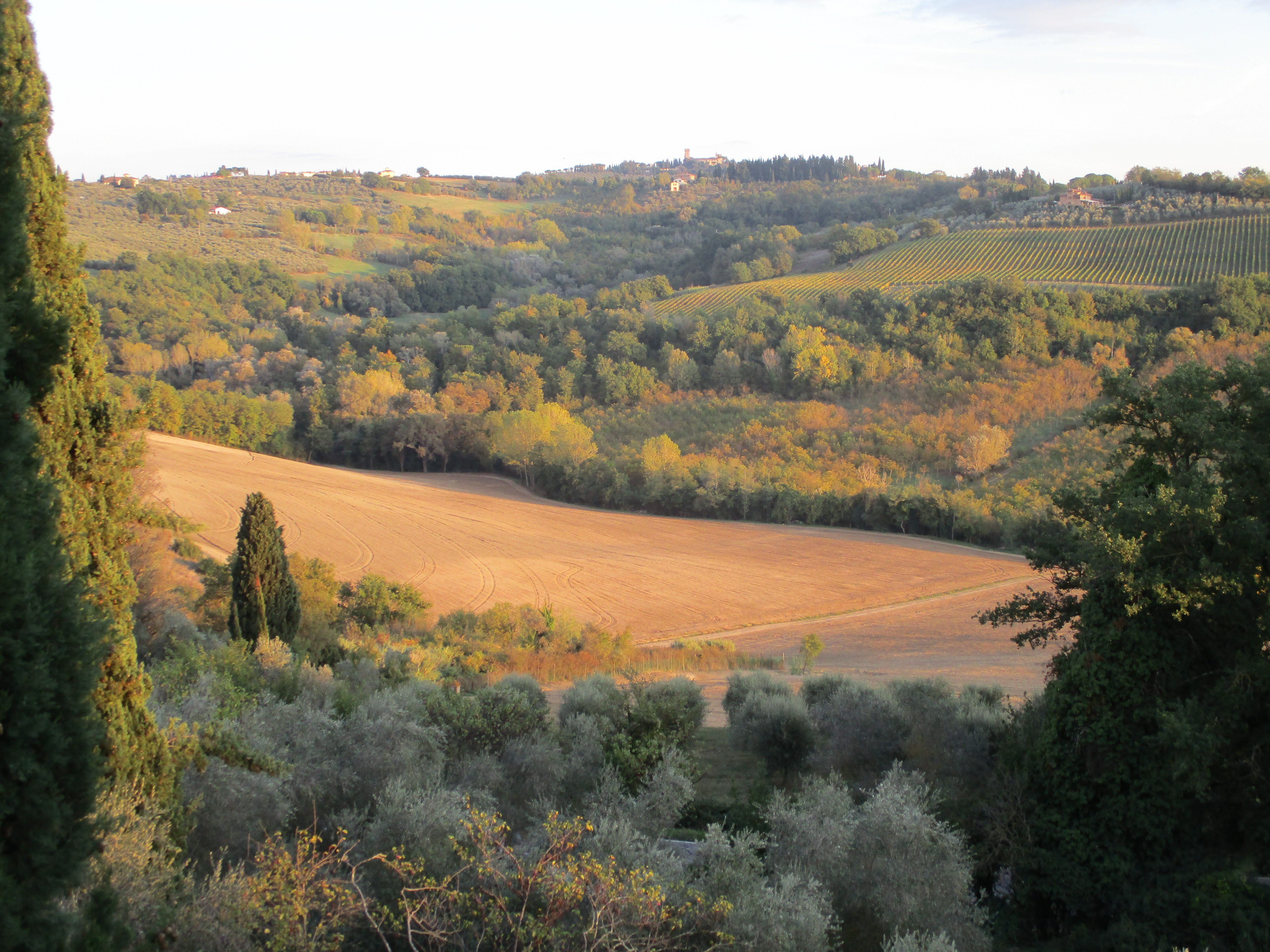 Castello di Montegufoni-浴室