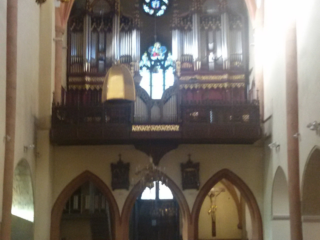 Maribor Cathedral (Church of St John the Baptist)-马里博尔必去景点