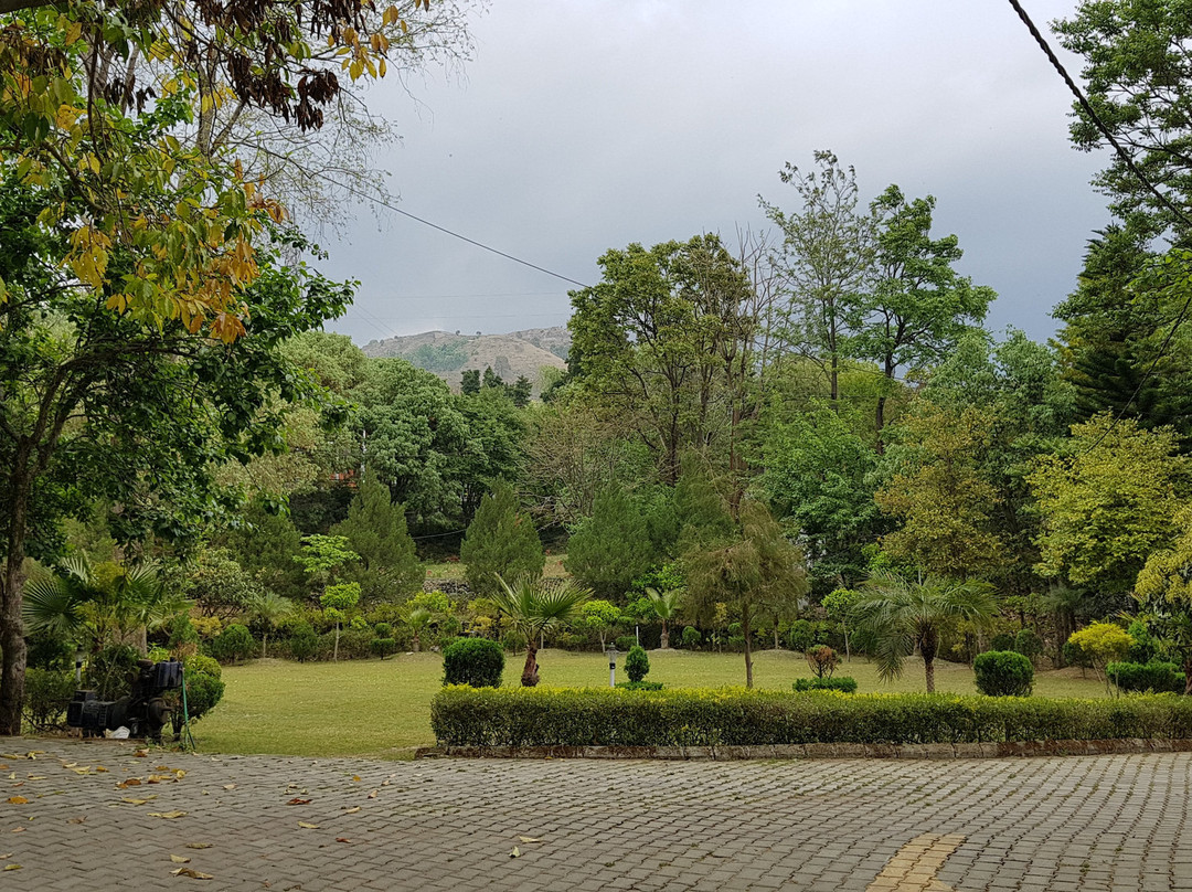 Chirping Hills Resort, Bhimtal主图