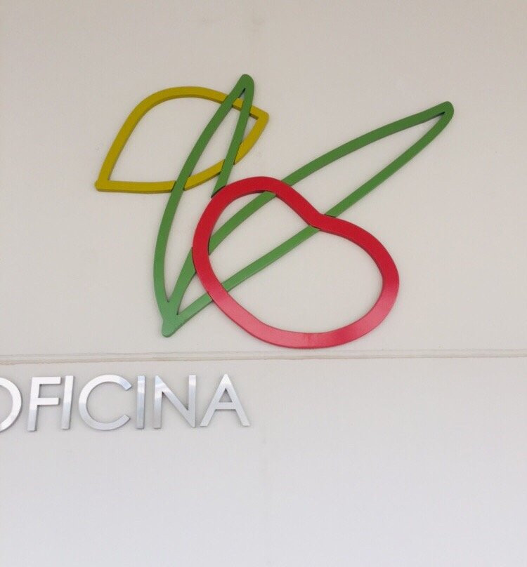 Oleoturismo en Jaén con Picualia景点图片
