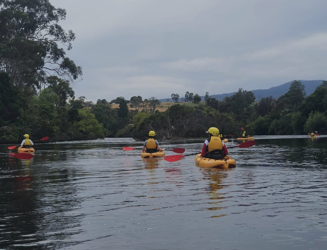 Tassie Bound景点图片