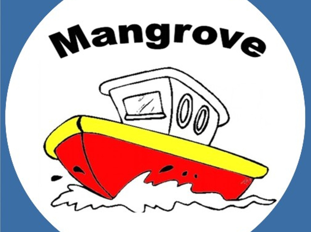 Mangrove Boat Tour景点图片