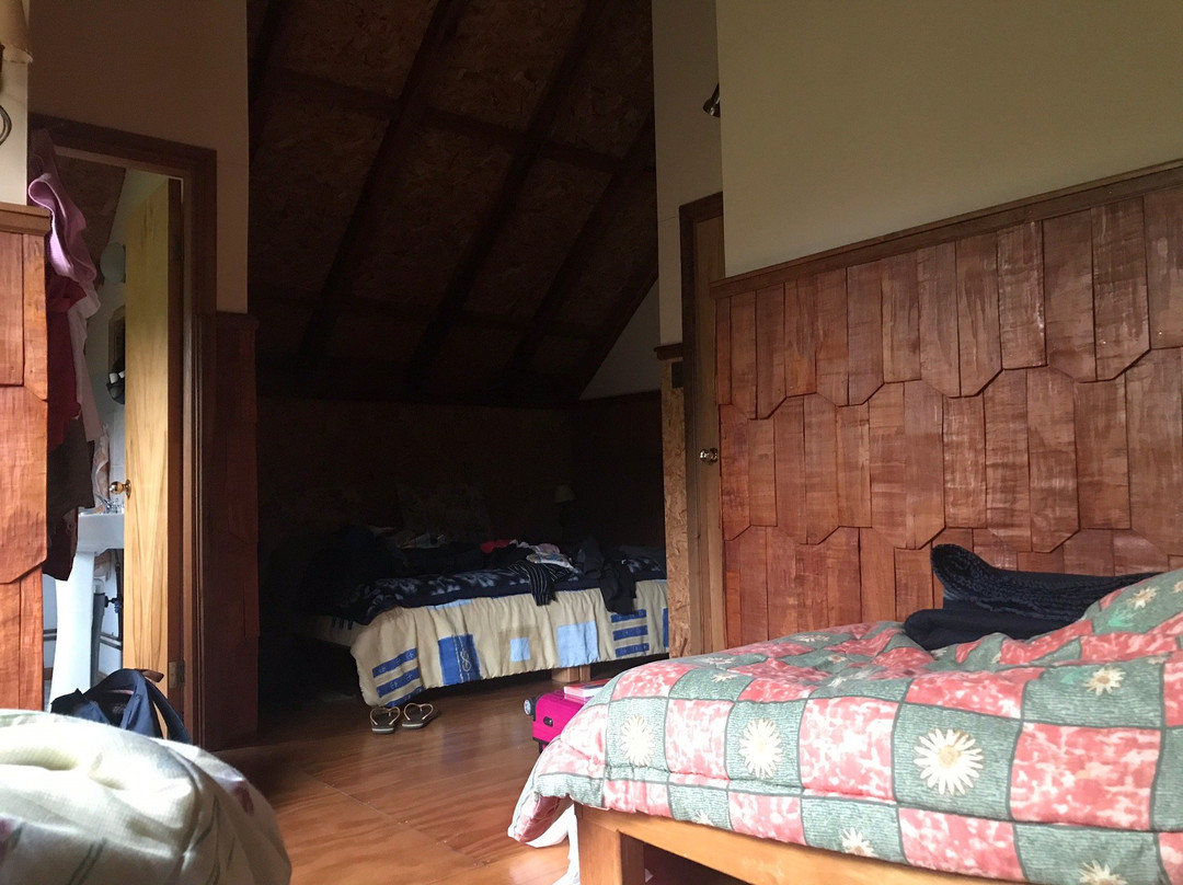 Campo Alacaluf主图