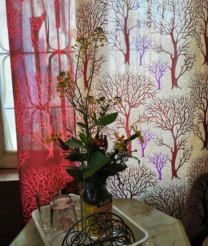 Zorba the Buddha主图