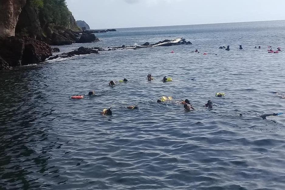 Donny's Snorkel Center-Pointe Michel必去景点