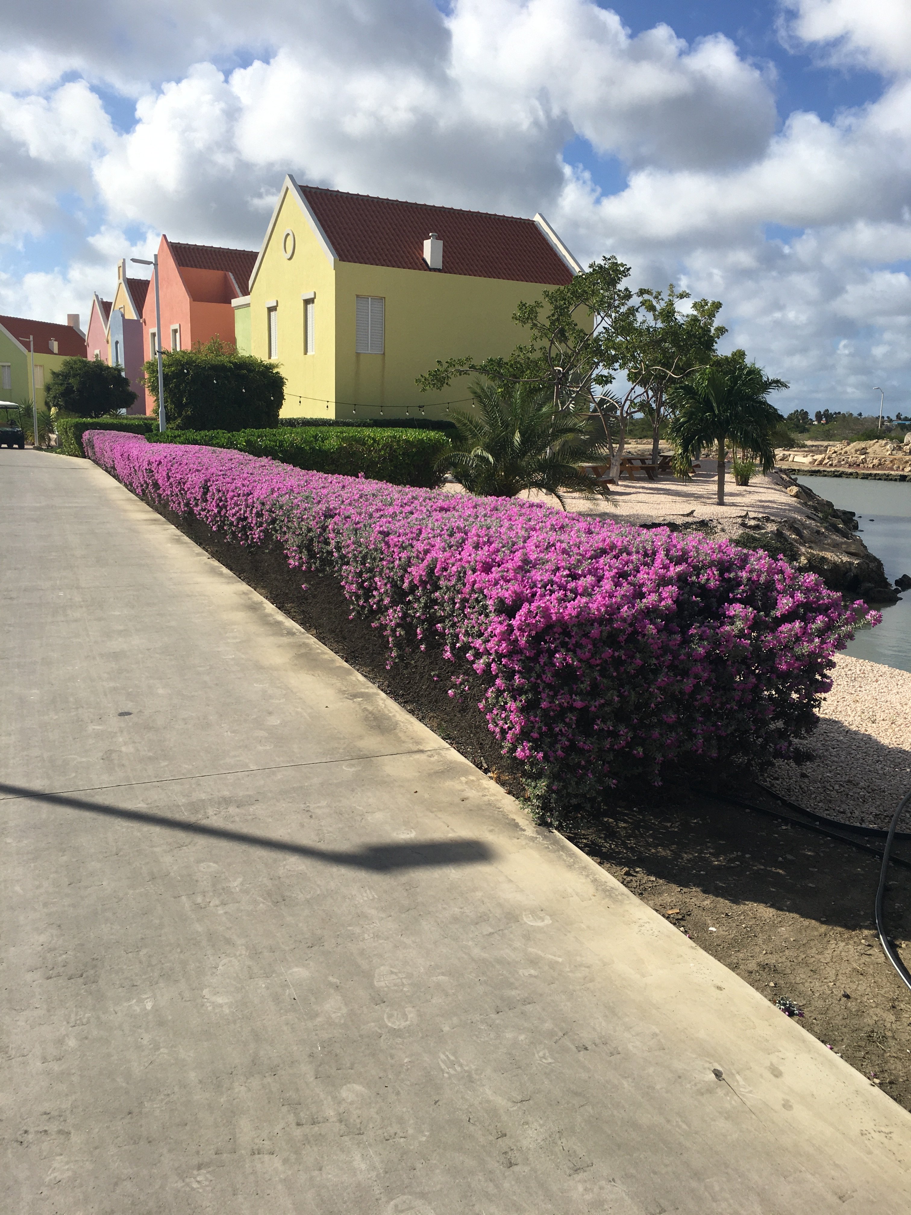 Corallium Hotel & Villas Bonaire-浴室