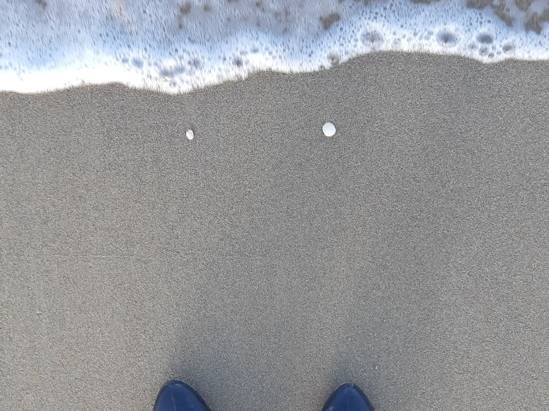 Nahsholim Beach Hotel主图