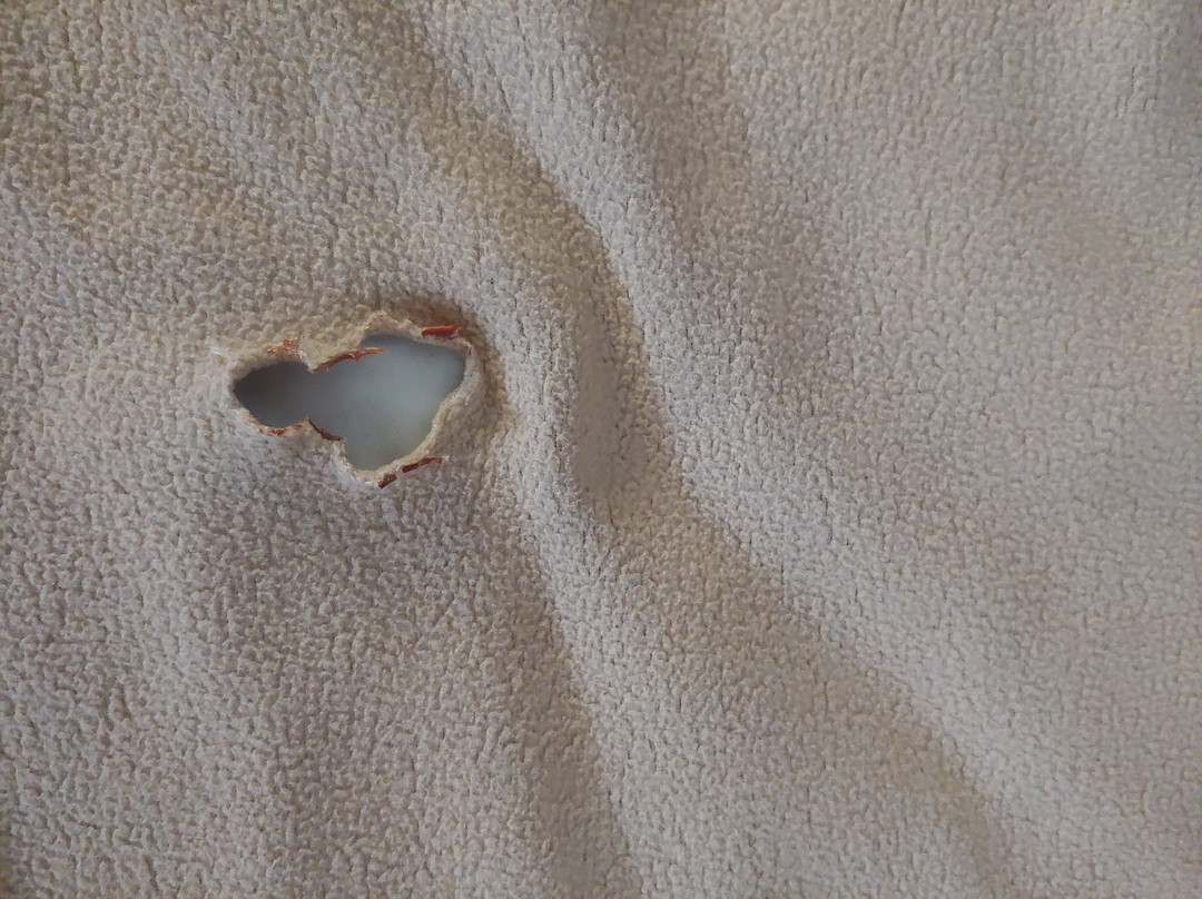 Super 8 by Wyndham Tupelo Airport主图