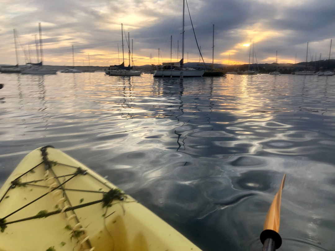 Monterey Bay Kayaks-蒙特雷必去景点