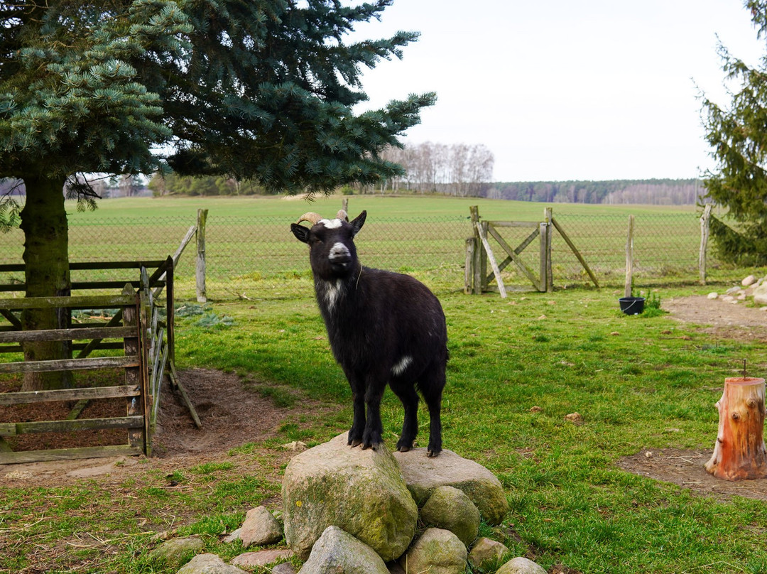 Landhaus Alte Schmiede主图