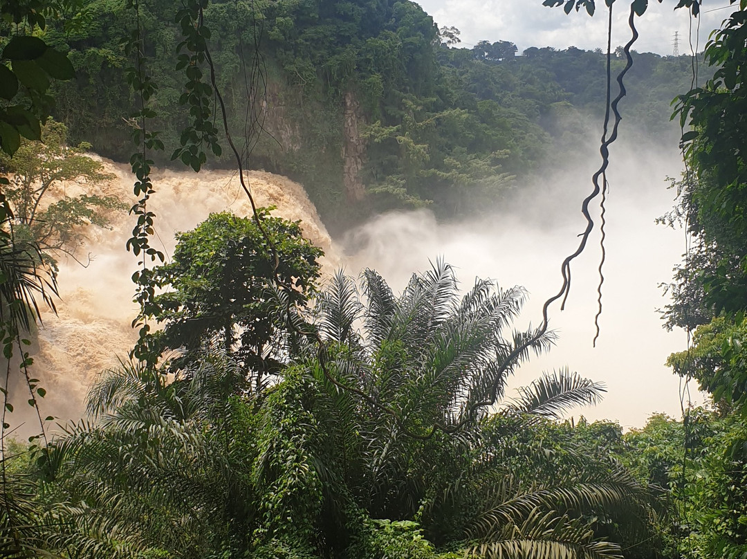 Zongo Falls景点图片