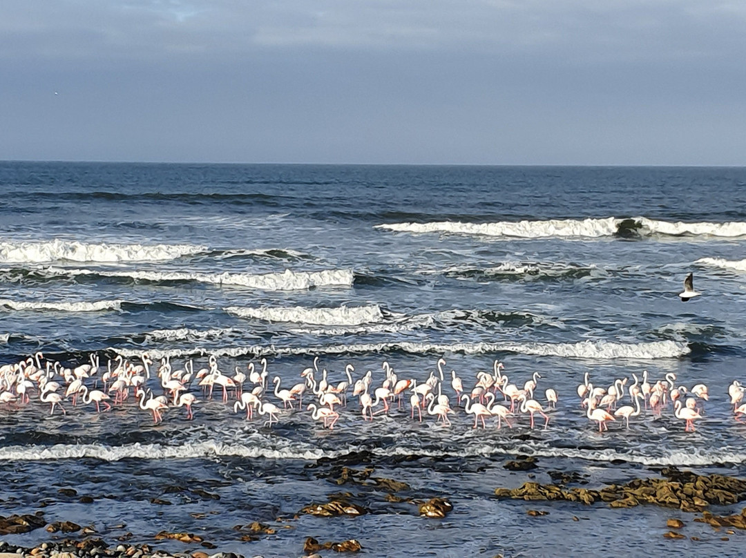SeaSide Hotel and Spa主图