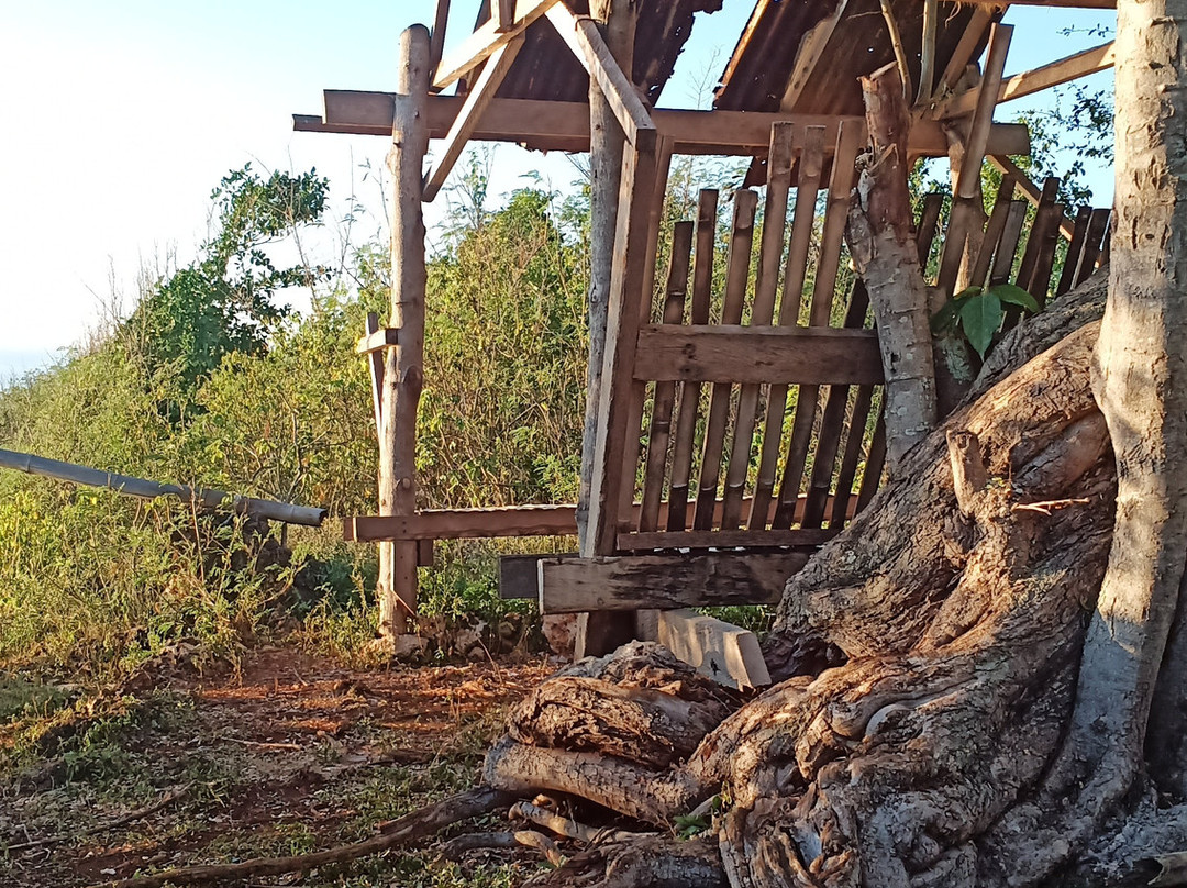 Emocion Guesthouse主图