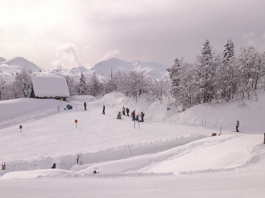 Ski Finzgar景点图片
