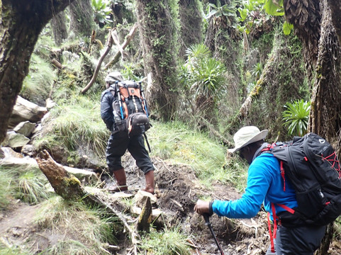 Mount Stanley-温佐里山国家公园必去景点