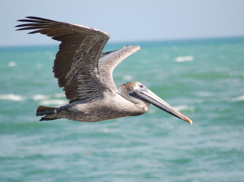 Five Stars Tours & Safaris-温德和克必去景点