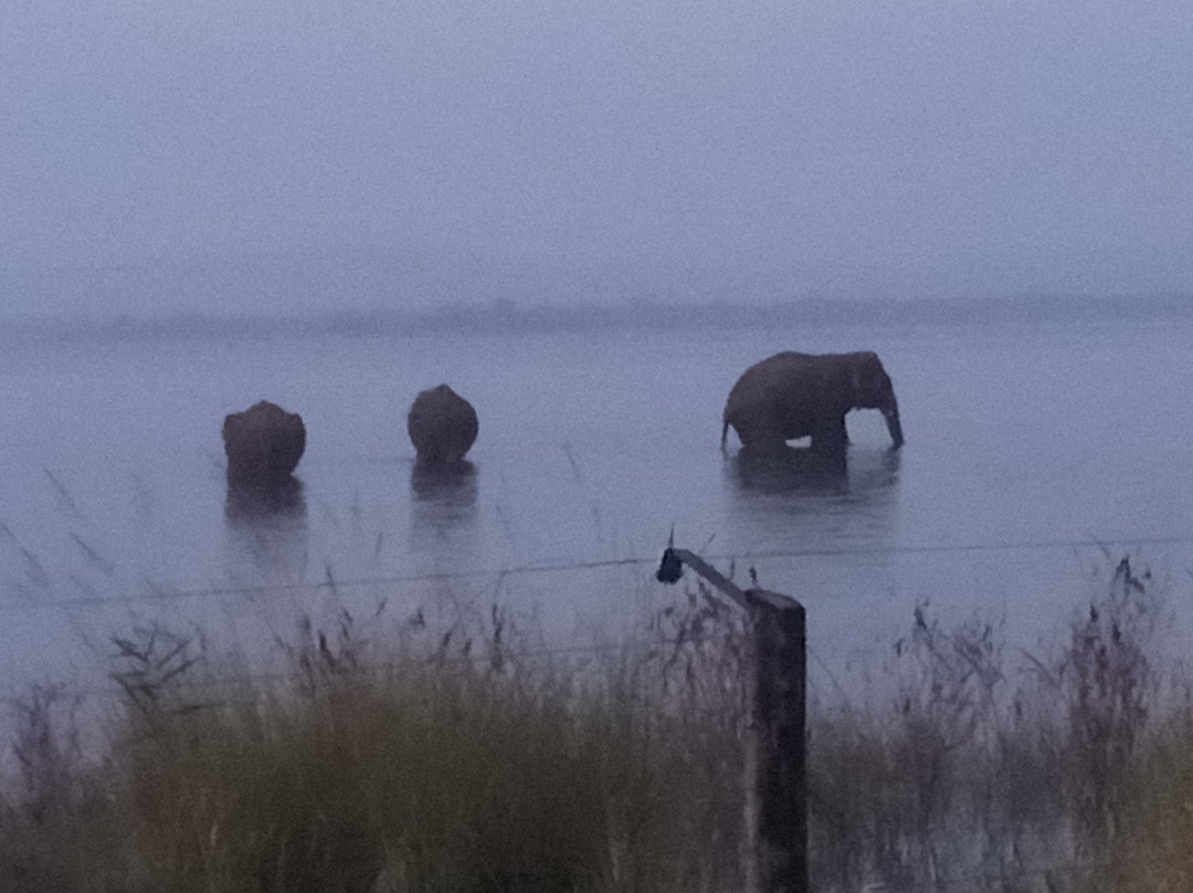 普赖米特中心旅馆主图