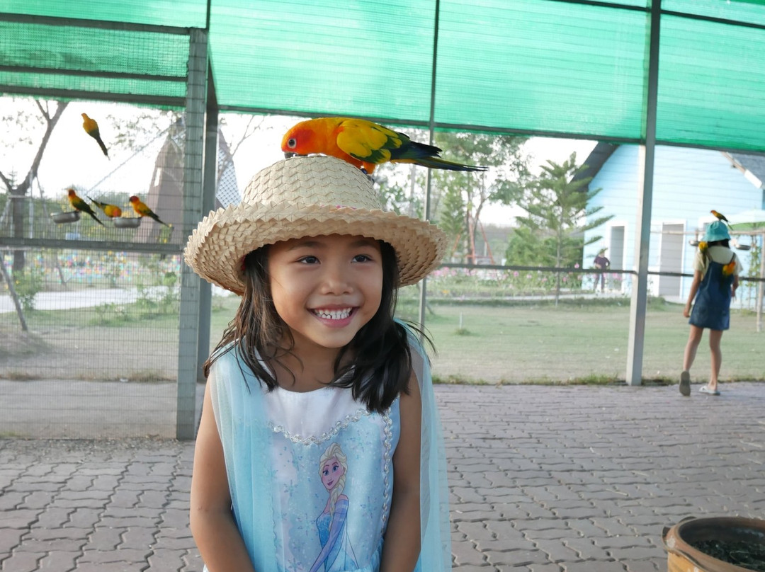 Viva Foresta Farm-那艾安必去景点