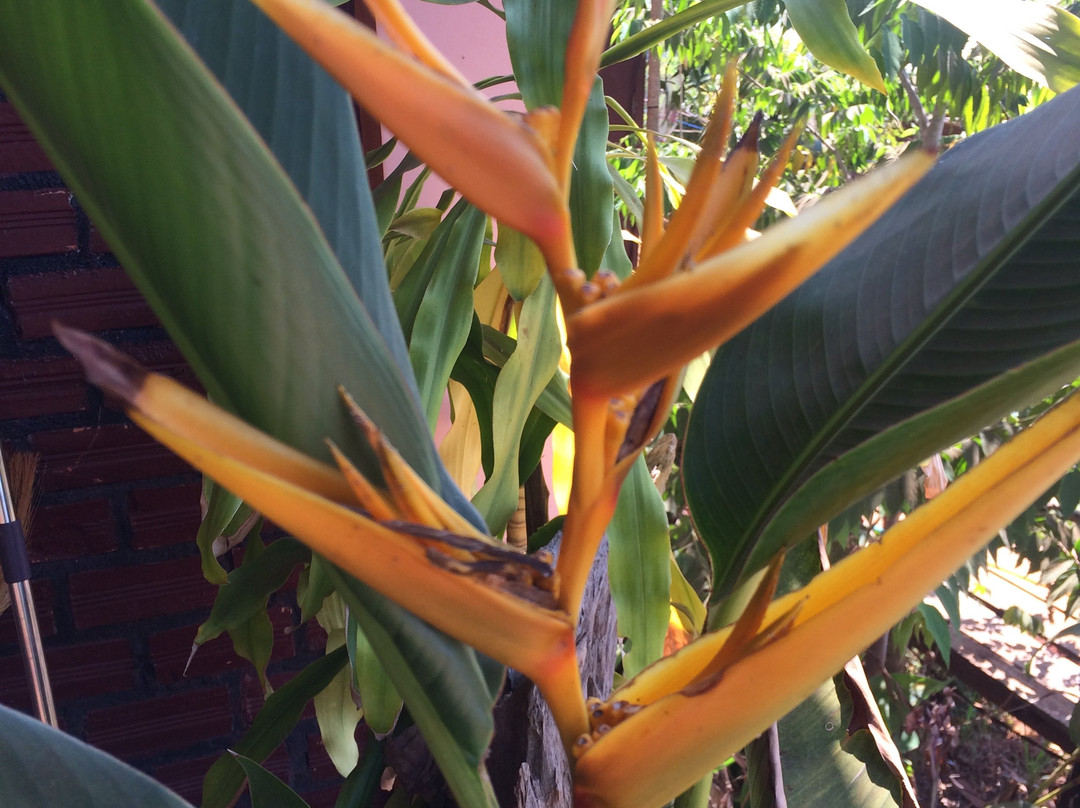 Family House & trekking Homestay主图