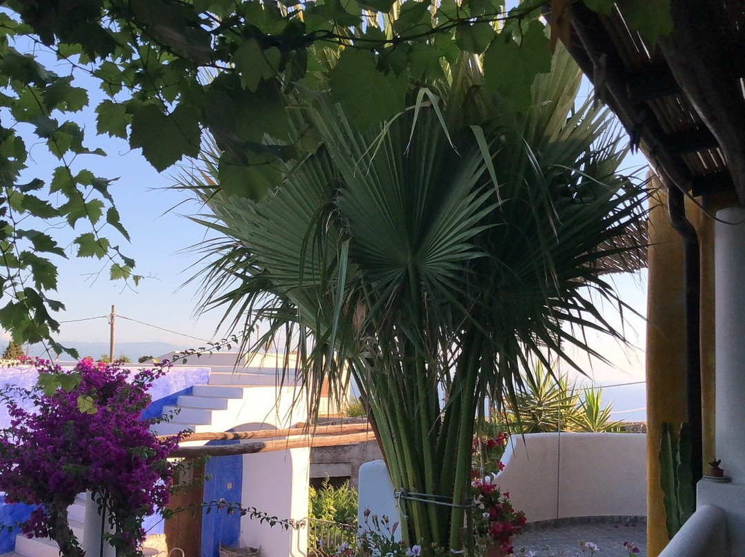 Agriturismo B&B Casa Gialla Lipari主图