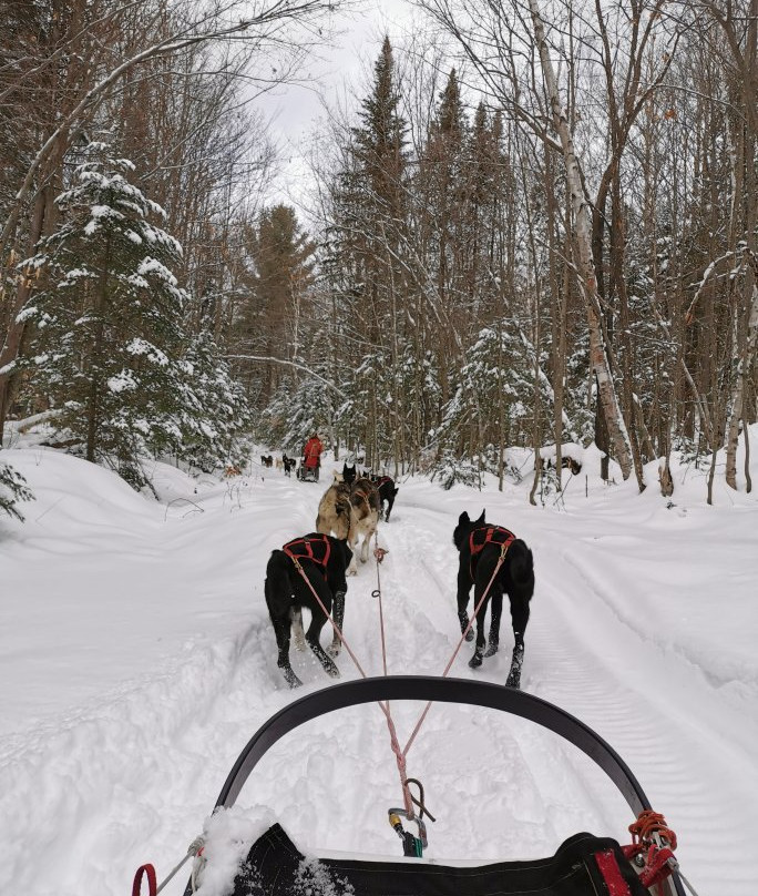 Kinadapt-Rawdon必去景点