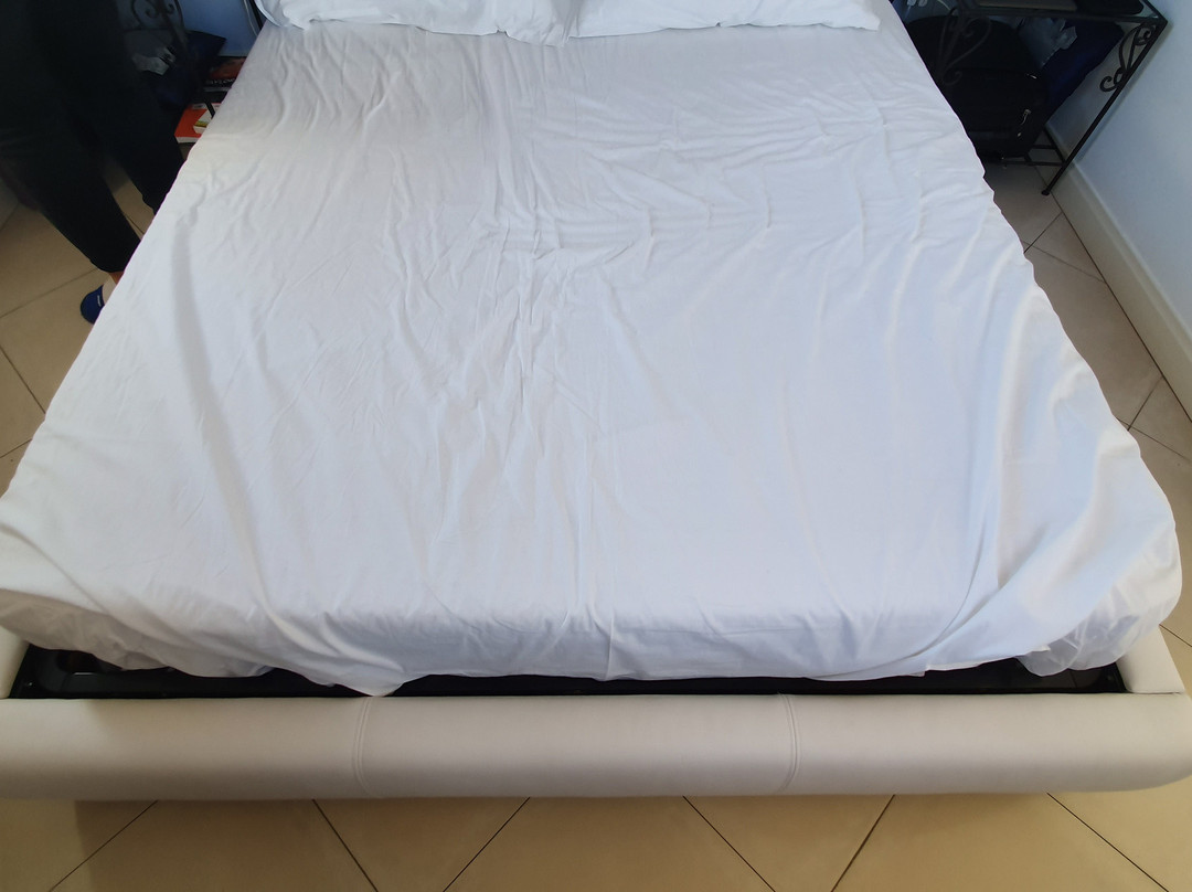 B&B The Divine主图