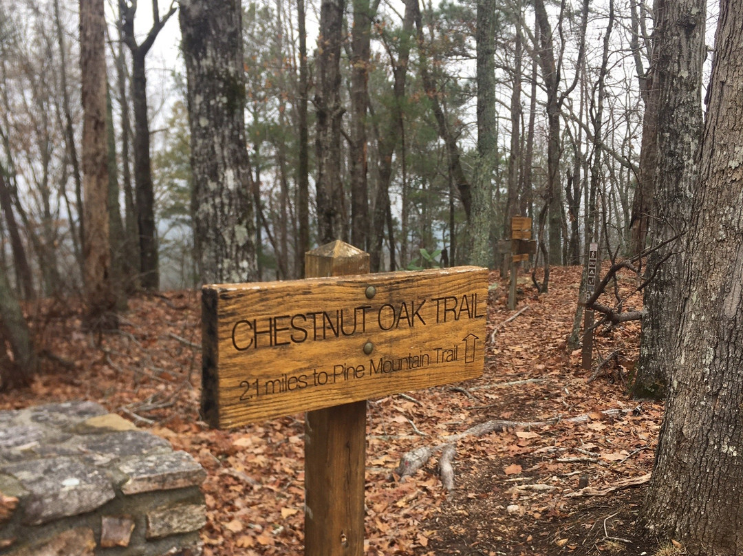 Pine Mountain Trail-Pine Mountain必去景点