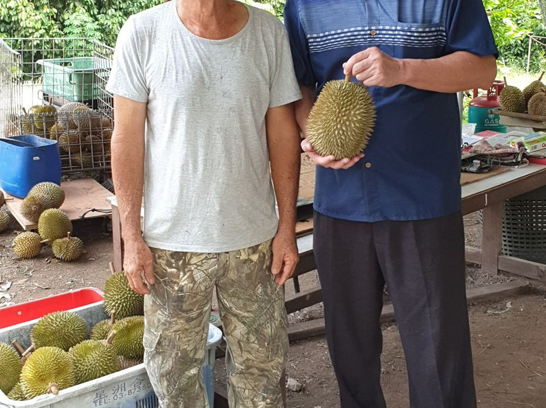 Haw Kee Durian Orchard景点图片