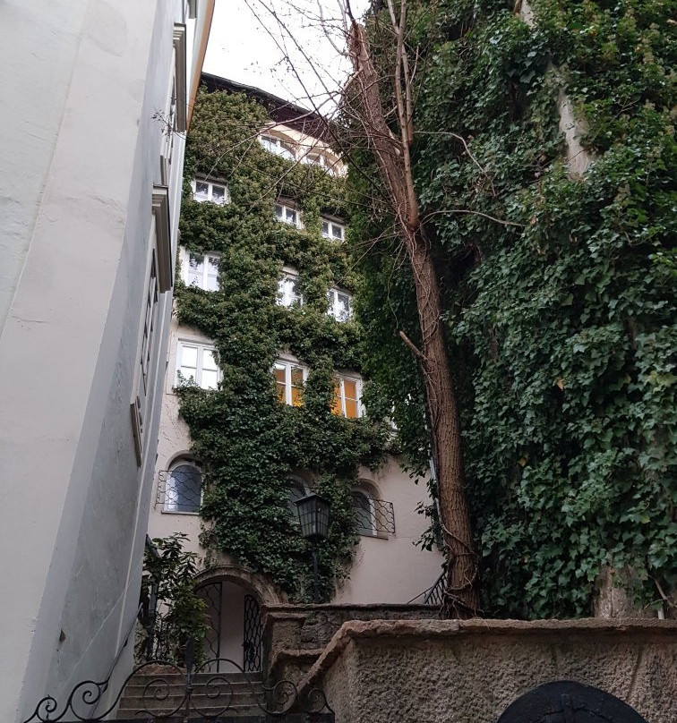Salzburg Experience景点图片
