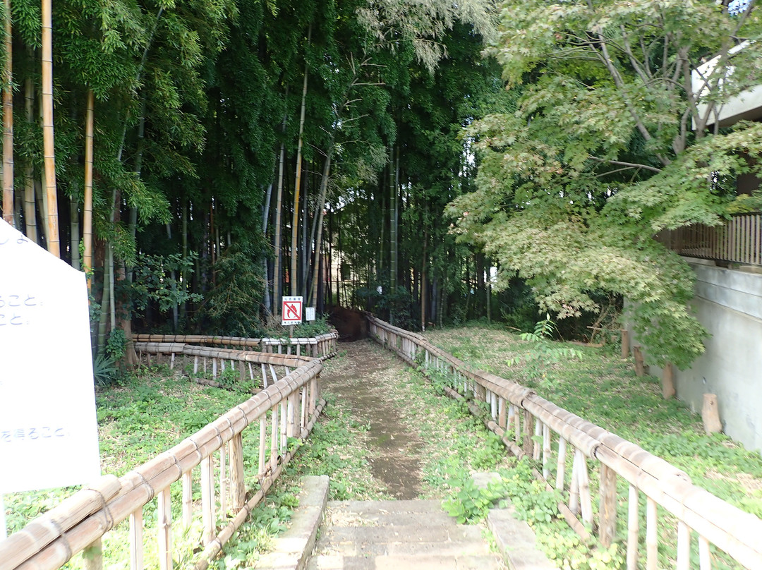 Chikurin Park-东久留米市必去景点