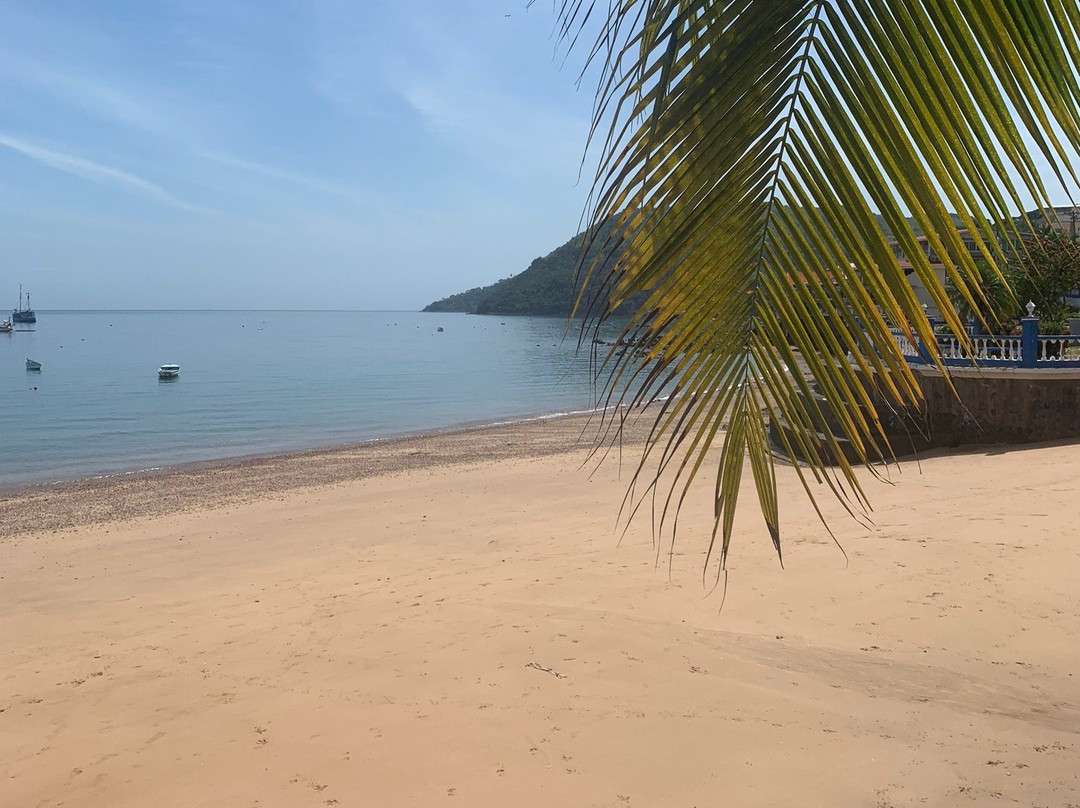 Red Cat Mega Catamaran-巴拿马城必去景点