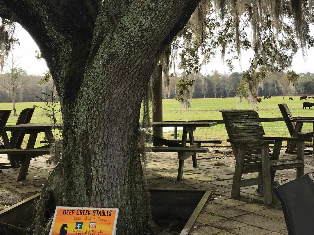 Deep Creek Stables-Pierson必去景点