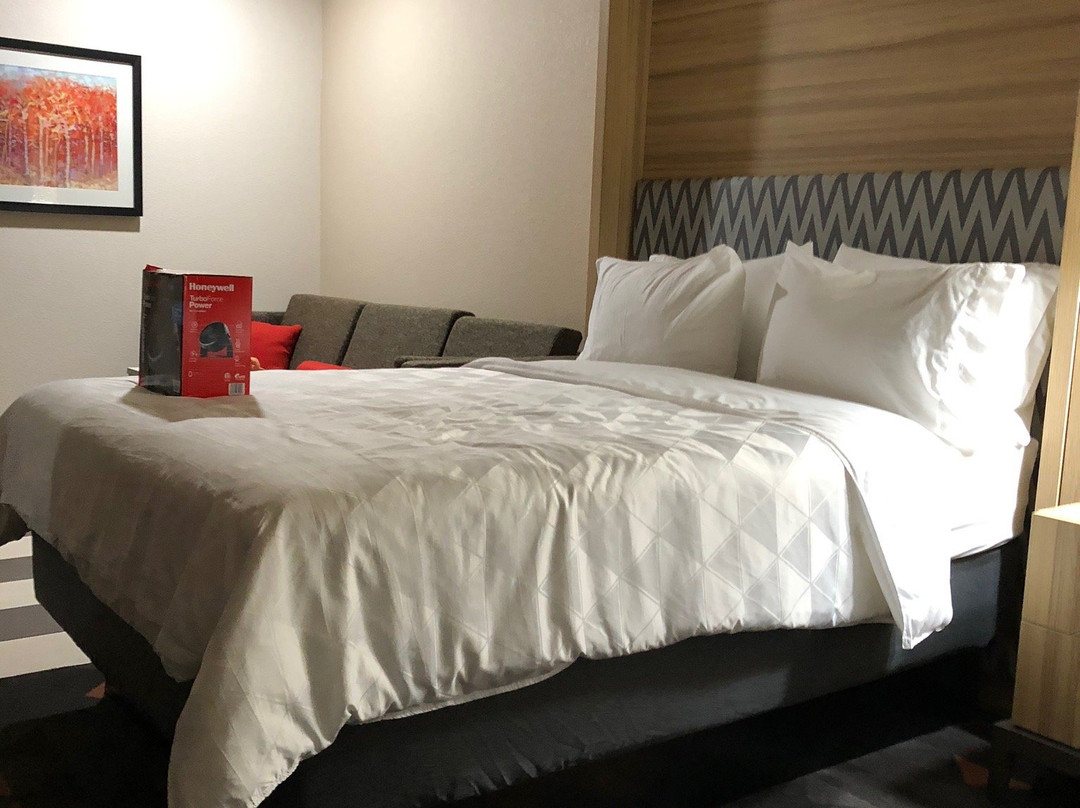 Holiday Inn Amarillo East By IHG主图