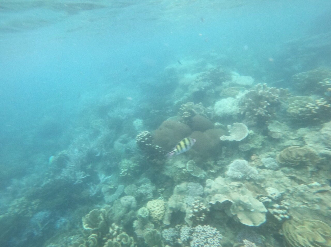 Karimunjawa Package-卡里蒙加瓦必去景点