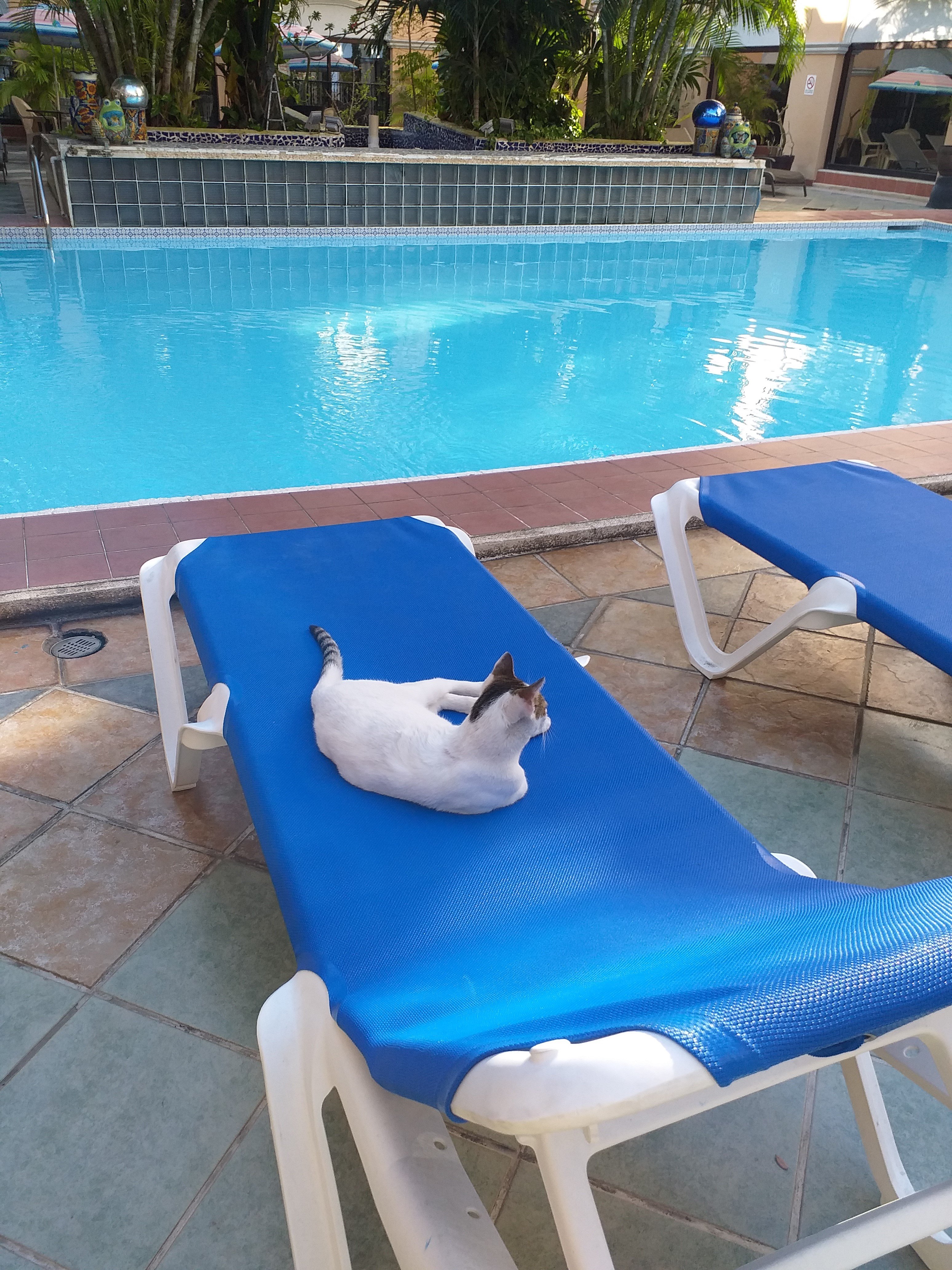 Hotel Doralba Inn-泳池