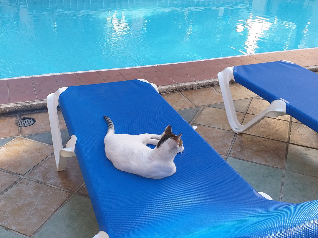 Hotel Doralba Inn主图