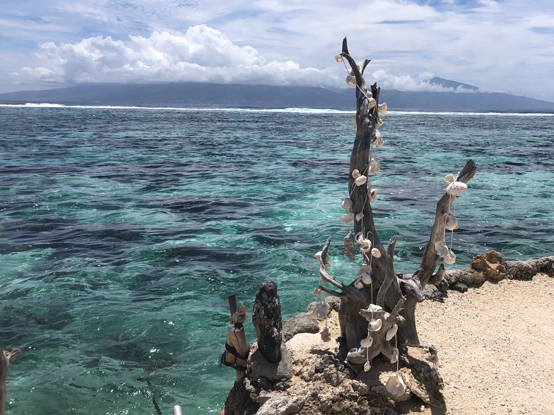 泻湖水族馆景点图片