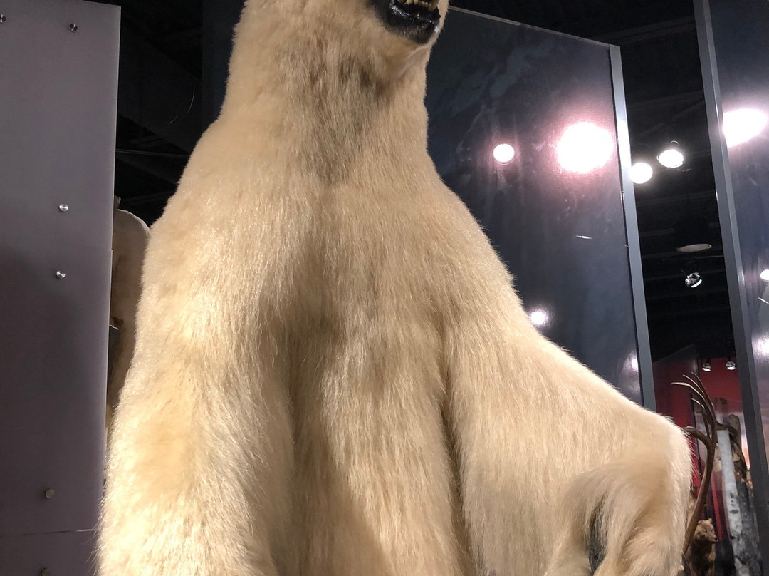 Maxine & Jesse Whitney Museum-瓦尔迪兹必去景点