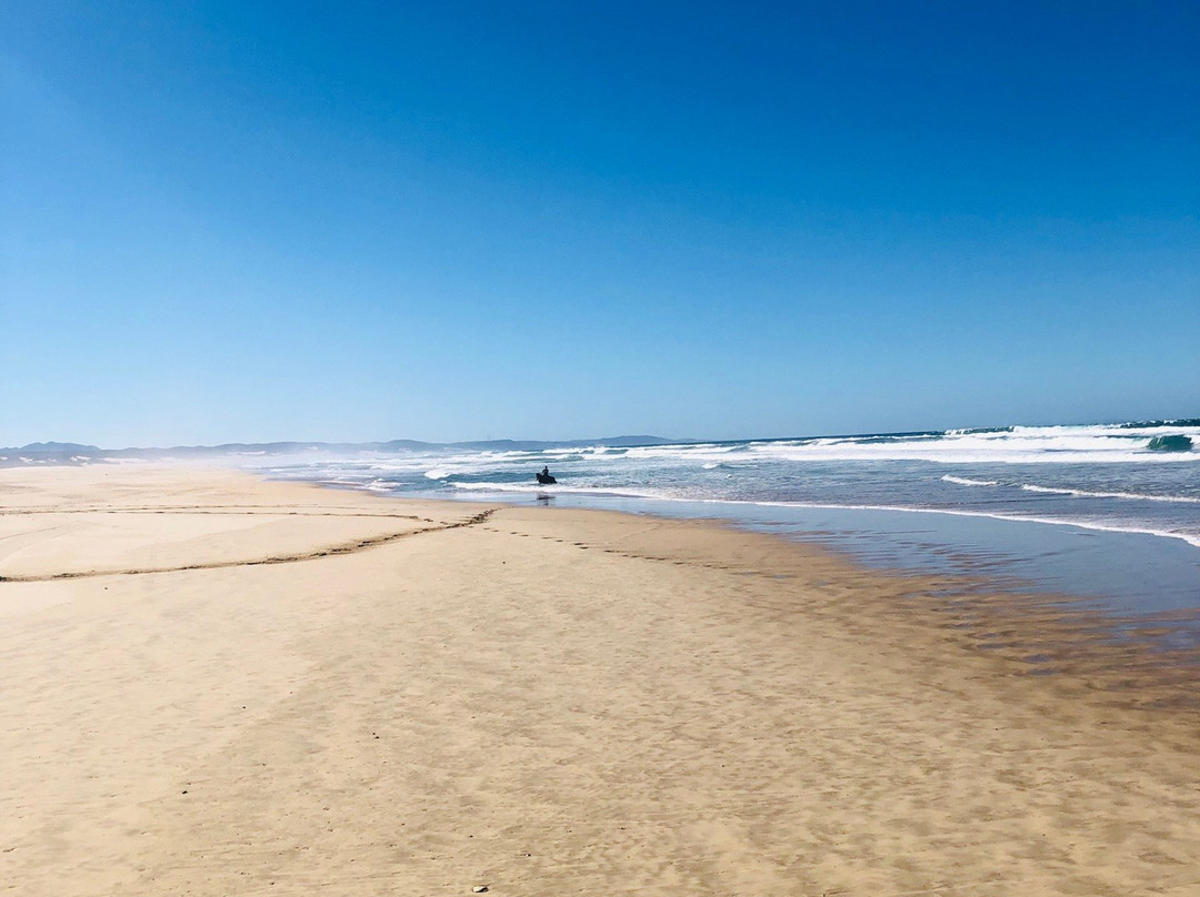 Papiesfontein Beach Horse Trails-杰佛瑞湾必去景点
