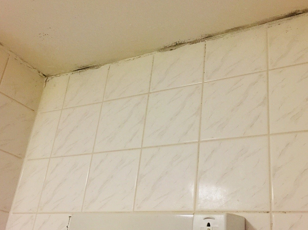 威勒尔普瑞米尔酒店 - 布隆伯格主图