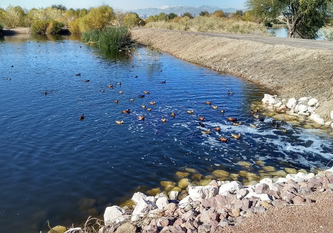 Henderson Bird Viewing Preserve-亨德森必去景点