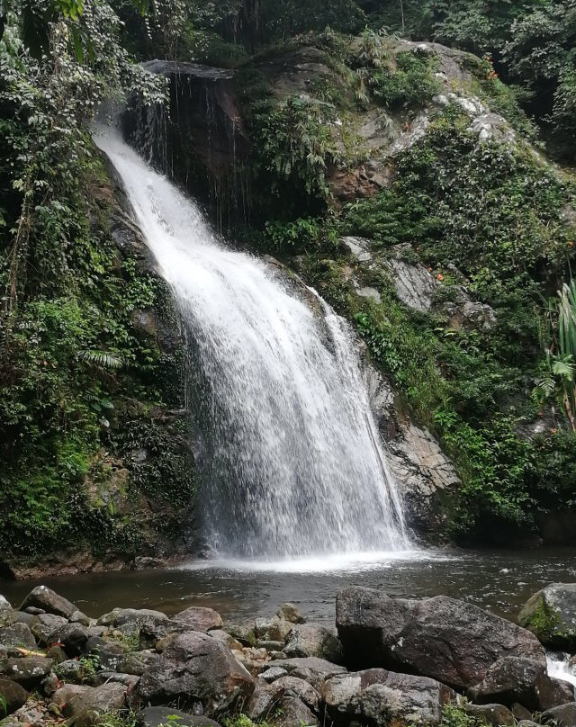 Tai Rom Yen National Park景点图片