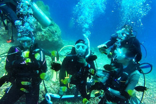 ION-C Dive Center-泗水必去景点