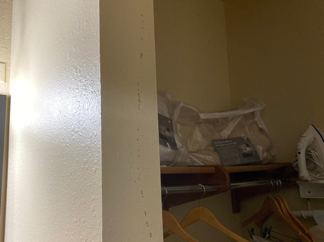 Country Inn & Suites by Radisson, Dalton, GA主图