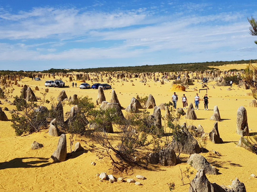 Pinanacles Desert-Nambung必去景点